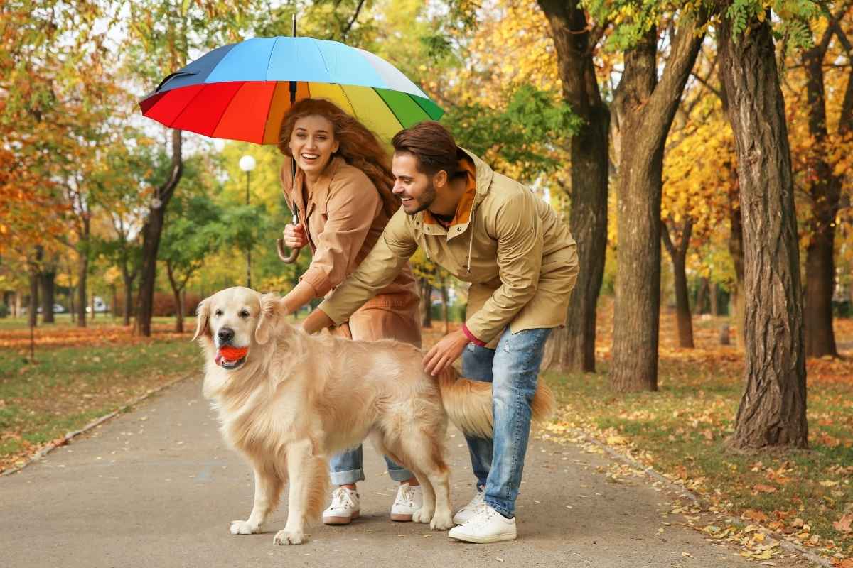 Celebrate National Pet Day with These Easy Pet Health Tips